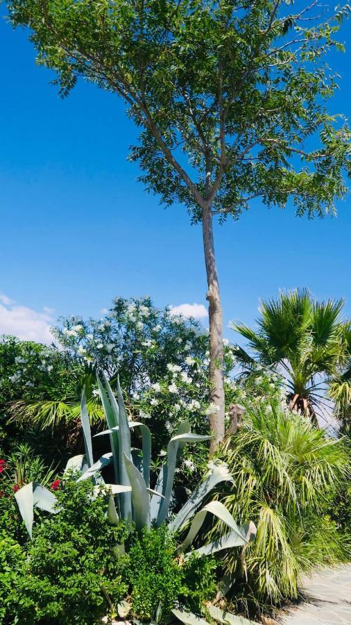 Cortijo Paraiso Charcon Higuera Ngoại thất bức ảnh