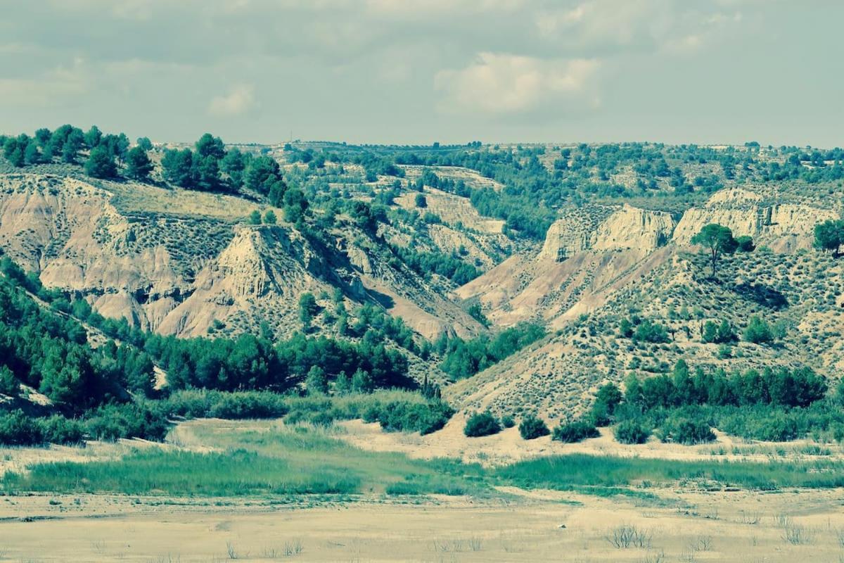 Cortijo Paraiso Charcon Higuera Ngoại thất bức ảnh