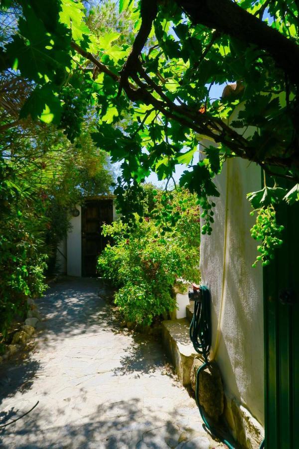 Cortijo Paraiso Charcon Higuera Ngoại thất bức ảnh