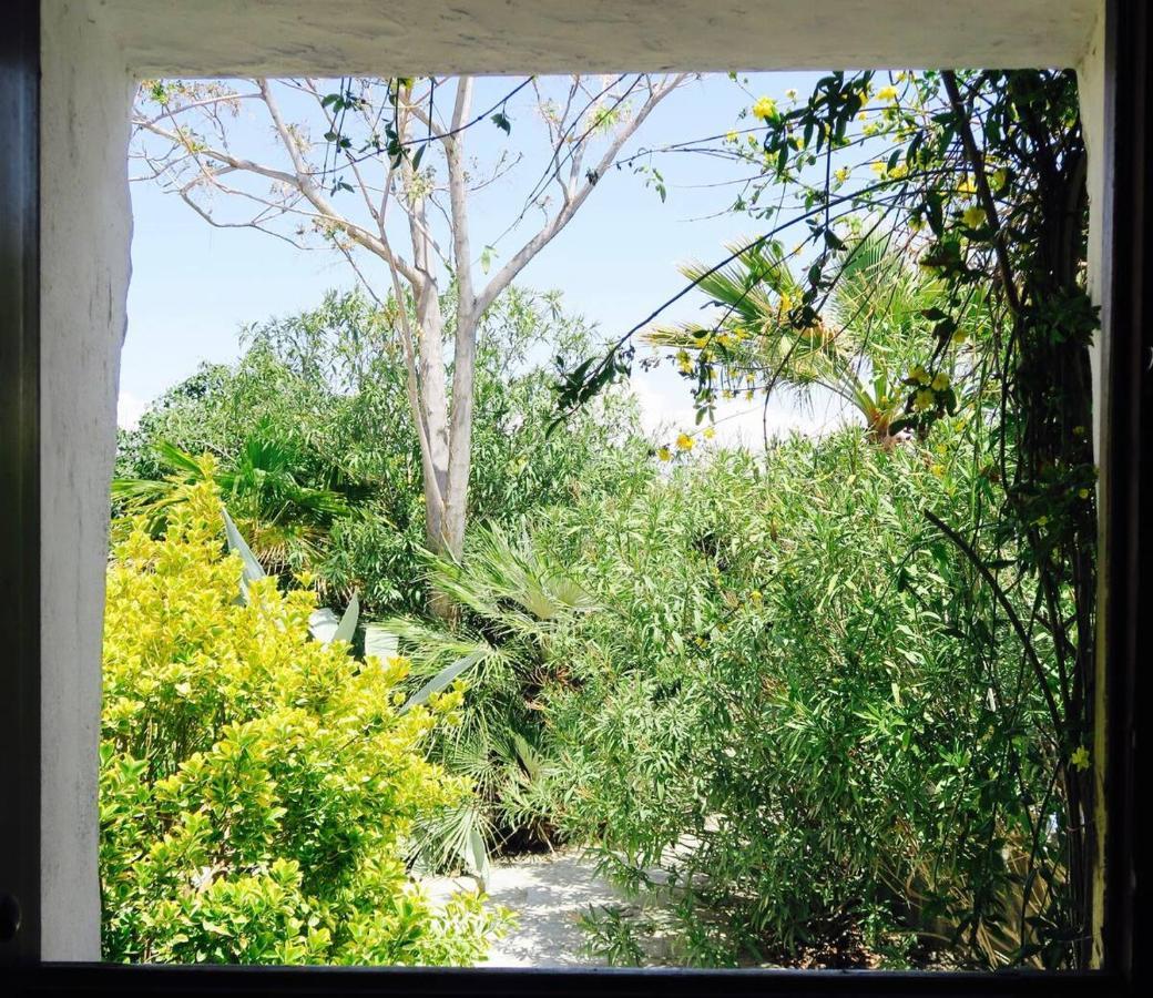Cortijo Paraiso Charcon Higuera Ngoại thất bức ảnh