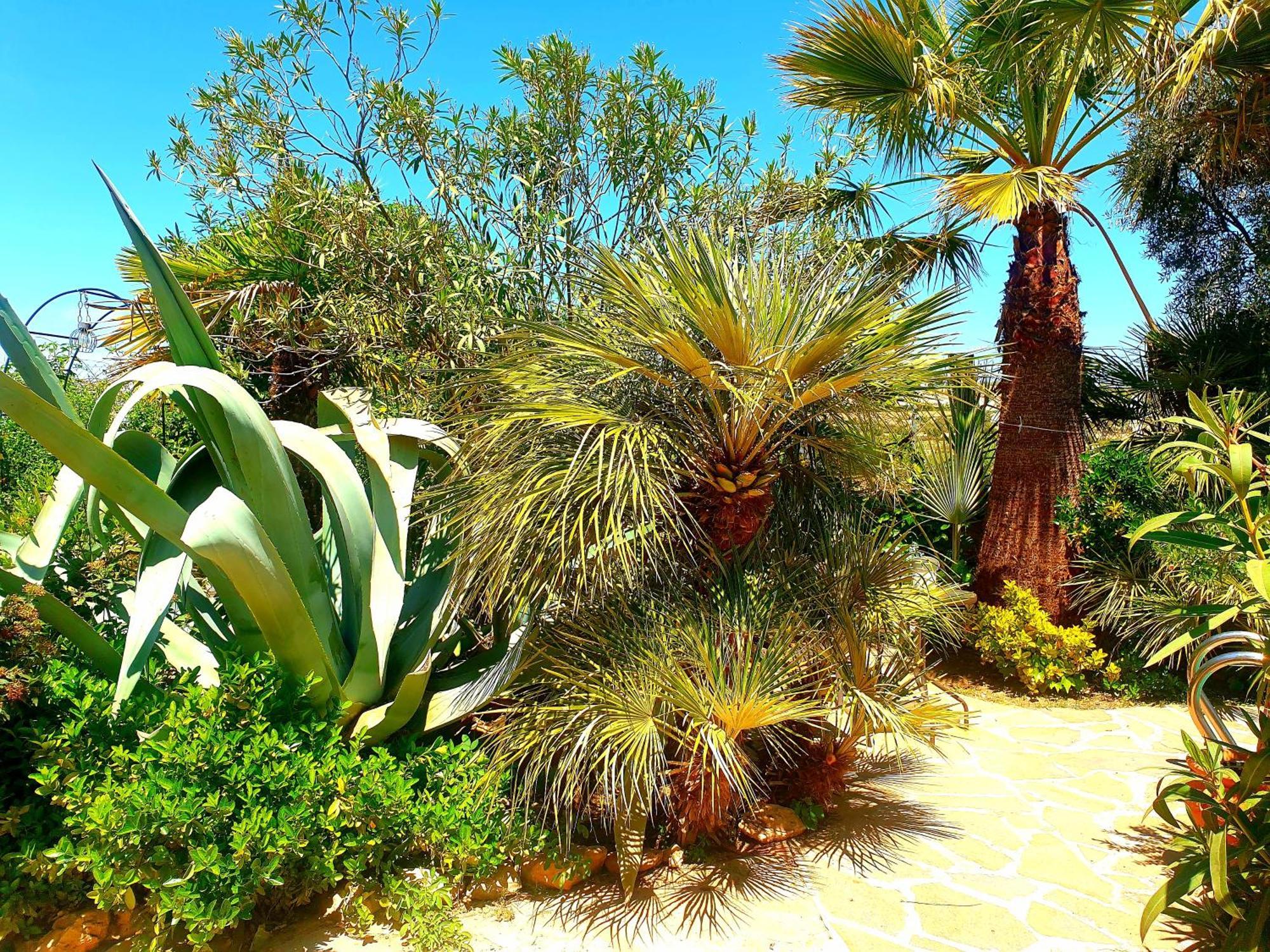 Cortijo Paraiso Charcon Higuera Phòng bức ảnh
